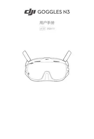 DJI大疆DJI 飞行眼镜 N3